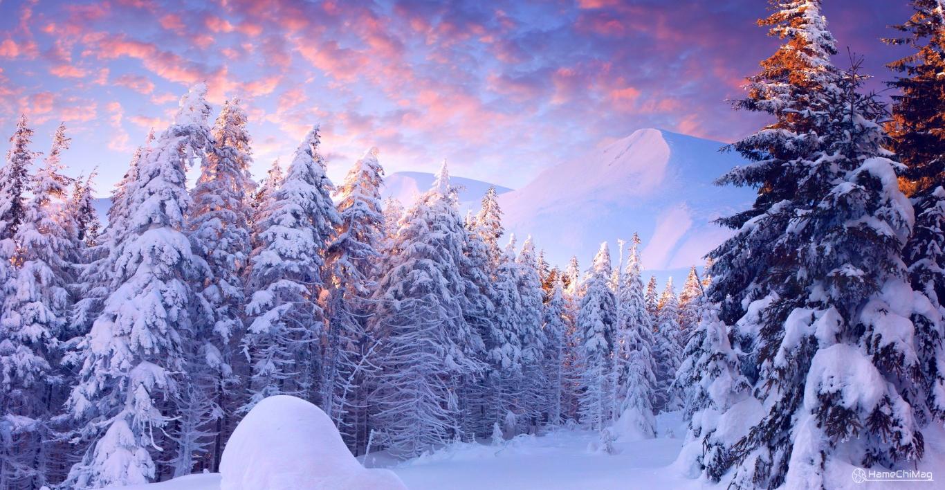 متن درباره طبیعت زمستان